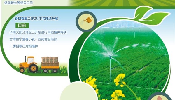 央媒观豫 | 河南新乡春耕春管一线探访