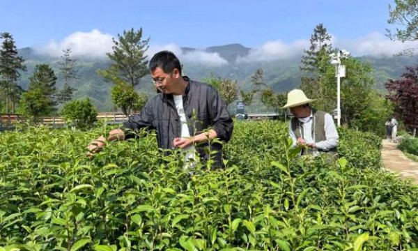 从“买现成”到“自己做”——  缝纫在年轻人中重新流行