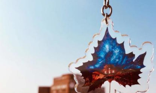 财经观察 “购物车”映照美好生活新模样