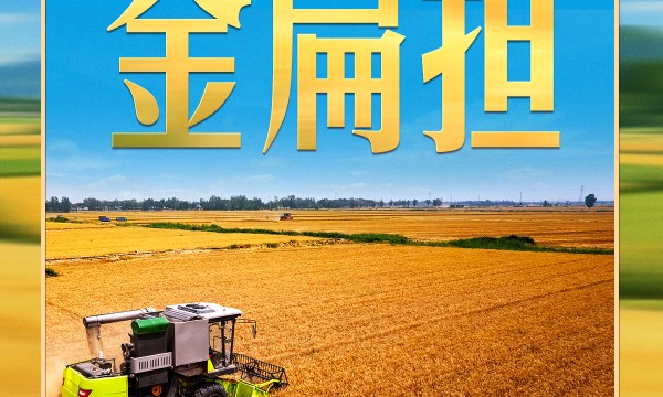 习近平的两会之喻｜“金扁担”，我把它理解为农业现代化