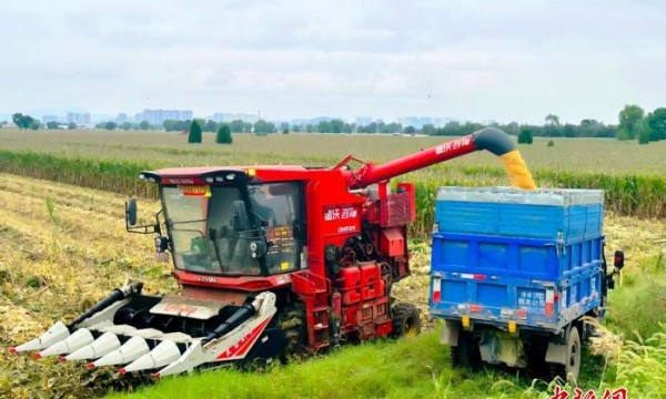 建设农业强省 河南“十四五”如何夯实耕地根基？