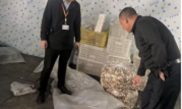 平安融易安阳分公司：金融活水精准滴灌 助力三农小微焕发新生机