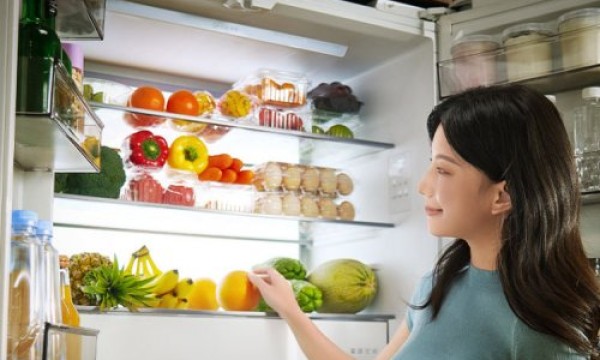 除菌净味冰箱推荐：高效除菌与清新空气的最佳选择
