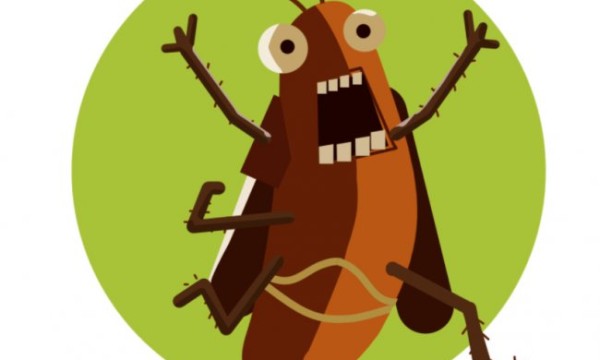 2026精选：驱蟑螂最有效的办法，家里蟑螂能彻底清除吗！