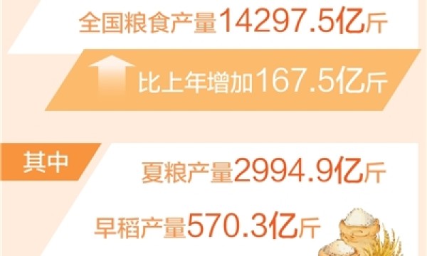 全年粮食生产再次实现高位增产