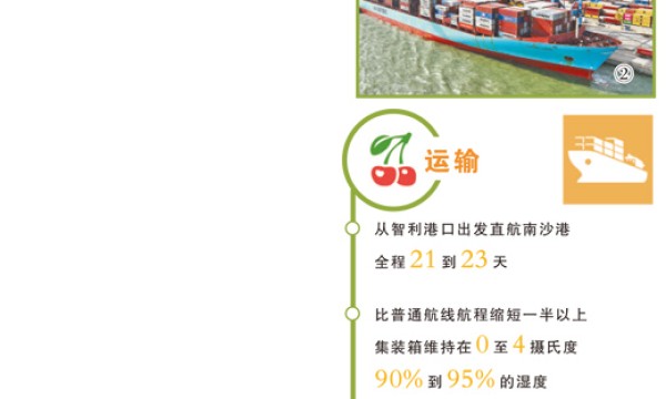预冷处理 快线直达 随到随检  进口车厘子的抢鲜“三重奏”（经济聚焦）