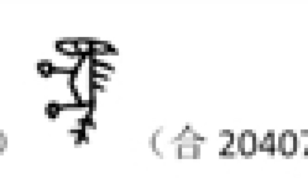 象形字“马”的变迁