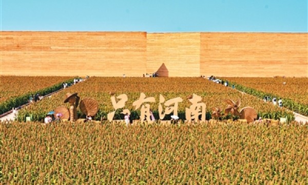 解锁河南文旅“破圈”密码