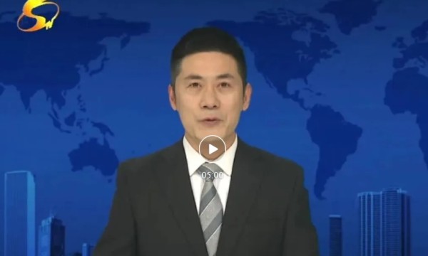 睢县：趴地菠菜成“网红”  老品种闯出大市场