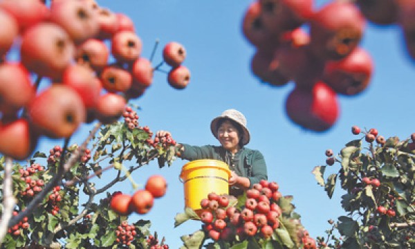 “掌握一技之长，让人生闪闪发光”
