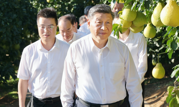 一见·柚子里的“三农”情怀