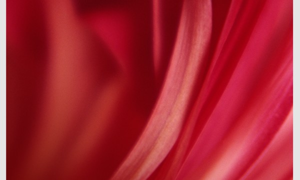 时政新闻眼丨这场聚焦“半边天”的全球峰会上，习近平提出哪些新倡议新举措？