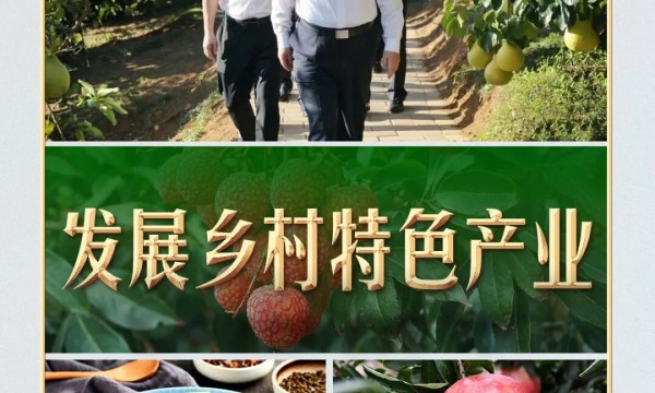 习言道｜从荔枝园到柚子园，习近平不变的牵挂