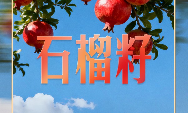 习近平的两会之喻｜像石榴籽那样紧紧抱在一起