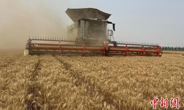 “中原粮仓”河南麦收过半