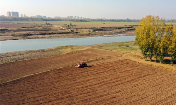 学习贯彻党的二十届四中全会精神丨沃野新程 向强而行——“强省进行时”系列观察报道之一