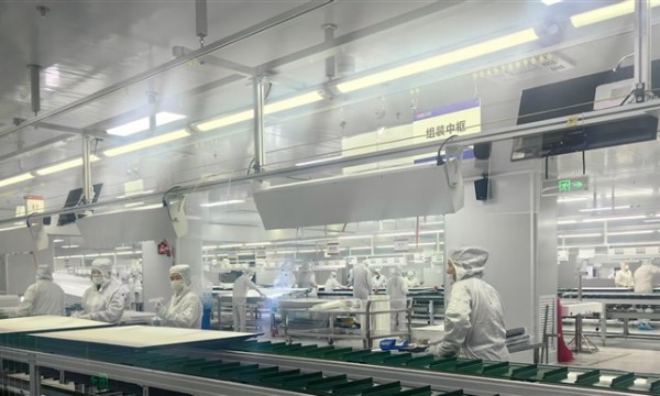 开年实探超级项目