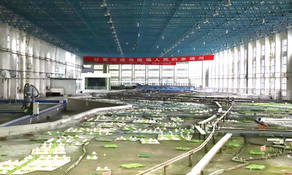 何以中国 黄河安澜丨郑州市区有一条800米长的黄河