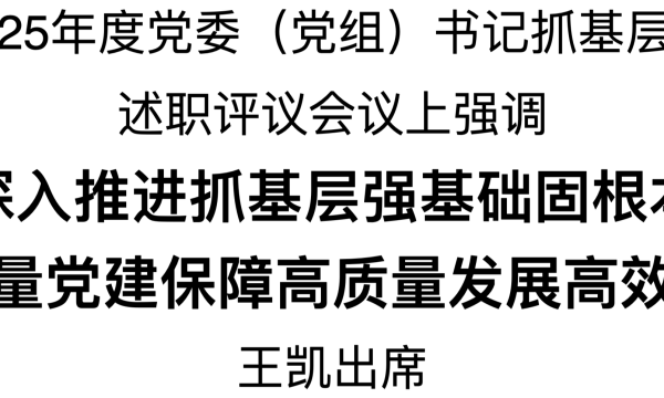 省委召开2025年度党委（党组）书记抓基层党建工作述职评议会议 刘宁主持并讲话 王凯出席