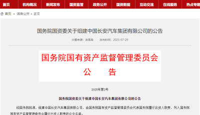 国务院国资委网站截图。